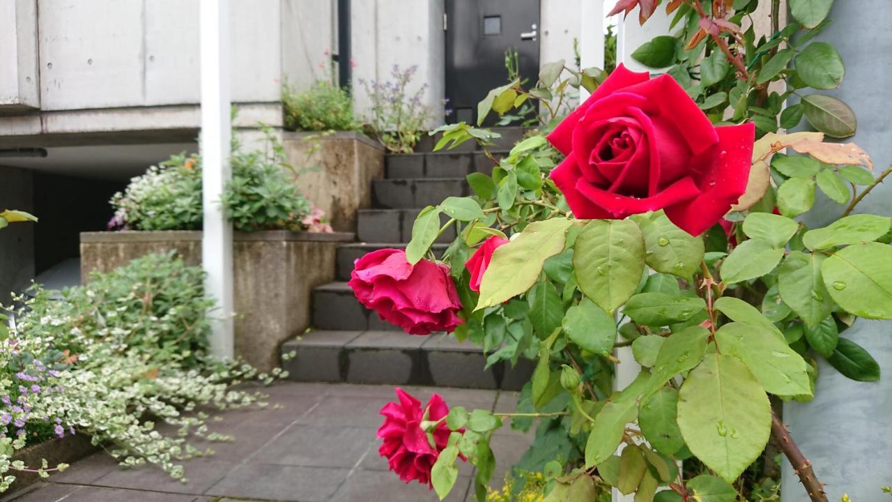 Aoi Guest House Kyoto Exterior photo